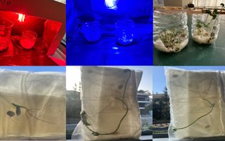 astroedu-2510-spacegardening