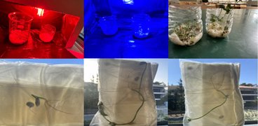 astroedu-2510-spacegardening
