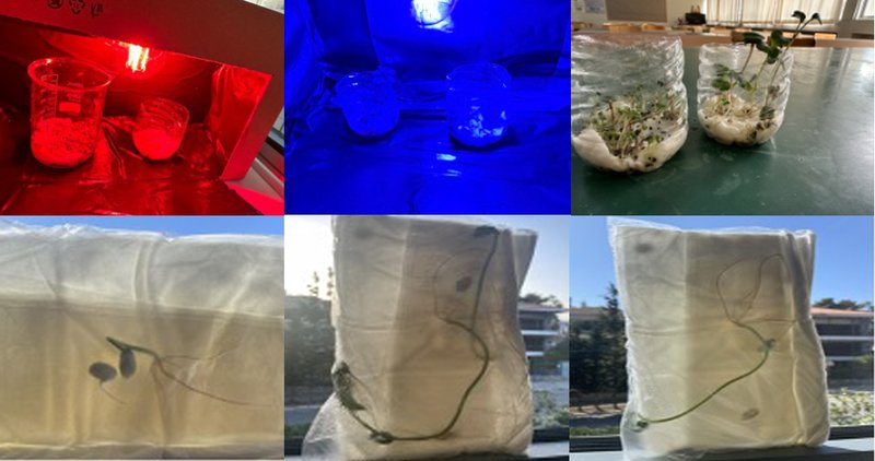 astroedu-2510-spacegardening