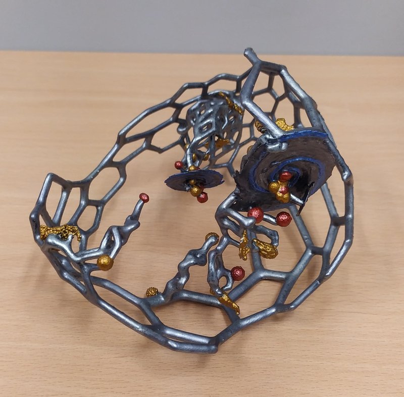 The 3D Local Group model