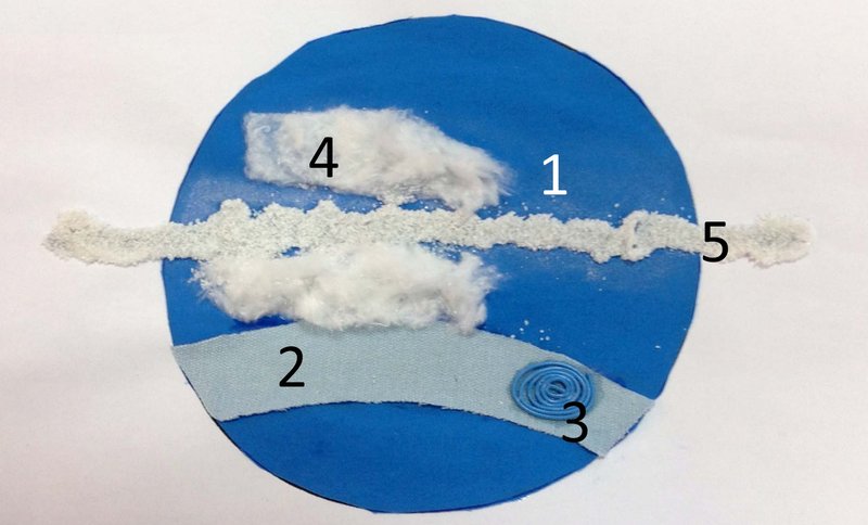 neptune_labels